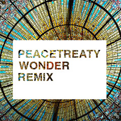 Adventure Club Ft. The Kite String Tangle - Wonder (PeaceTreaty Remix)**Free Download**