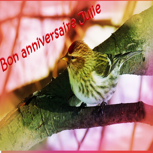 Stream Joyeux Anniversaire Julie By Cornichondemerde Listen Online For Free On Soundcloud Stream Joyeux Anniversaire Julie By Cornichondemerde Listen Online For Free On Soundcloud