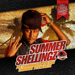 SUMMER SHELLINGZ MIXTAPE 2014