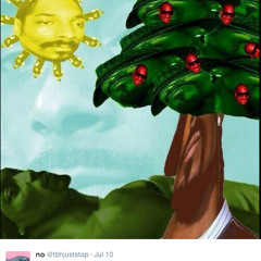 ∂µgµ∫† √∂m∫