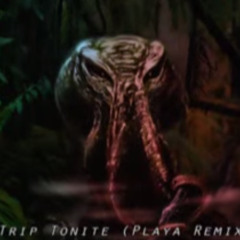 Etnica - Trip Tonite (Playa Remix)