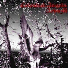 Dust to Dust (Celestial Angels EP 2008)