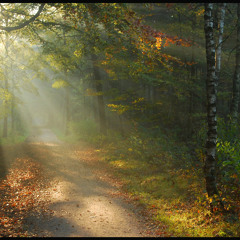 Vincent Thomas - Autumnal (Slow Mode)