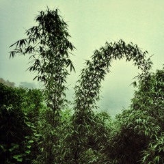 back from phonsavan