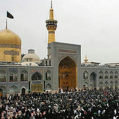 زيارة أمين الله-سيد محمود الشيرازي صحن الغدير