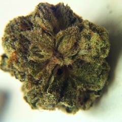 Matt Coslet Untitled Podcast Demo