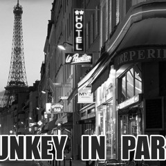 Videogamedunkey - Dunkey In Paris