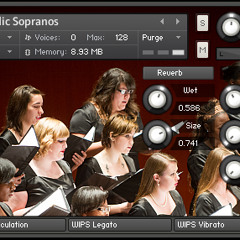 Mildred's Skies Are Dragonflies - microForj.Melodic Sopranos (Demo)