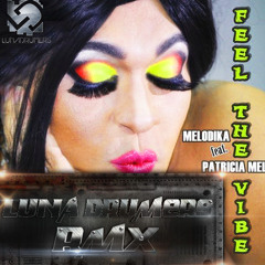 Melodika Ft. Patricia Mel - Feel The Vibe (Luna Drumers Rmx)[OUT NOW Fire Beats Music]