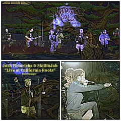 9. Josh Heinrichs & SkillinJah - Live at Cali Roots - Emergency Spliff