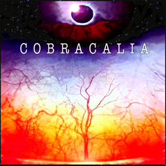 Cobracalia Dandyloin