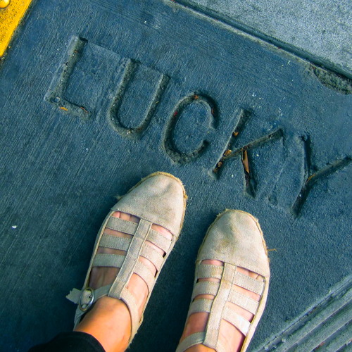 You got Lucky / Tom Petty