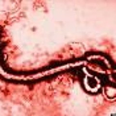 Before I Hang - Ebola, You Die