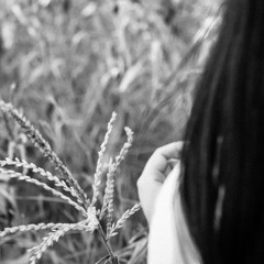 The Chain (Cover) - Ingrid Michaelson