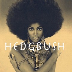 Walksauce - Hedgbush