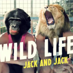 Wildlife - Jack and Jack