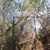 Artwork for Turn Around Quickly Because A Tree Is Coming Out Of The Ground And It's Trying To Sneak Up On You
