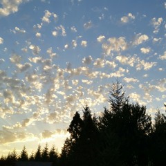 Wicked Game by Chris Isaac