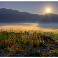 Morning Mist-Paploviante-Original