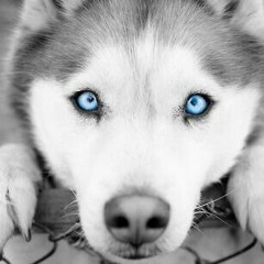 Without You - AJ Rafael (Cover by GEM)