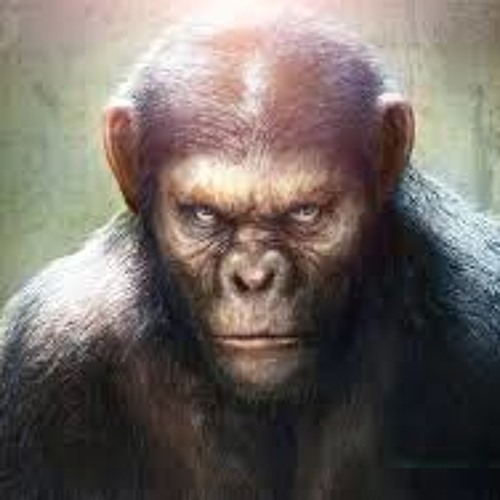 Monkey (Original Mix)(Speciale 81 Iscritti)[Free Download]