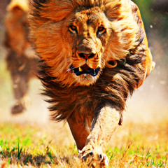 Lion Charge Dub (DUB MASTERS)