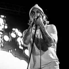 Red hot chili peppers-blood sugar sex magic live