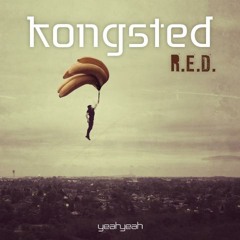 Kongsted - R.E.D (Dittmann's -PUMP UP- Mash Tool)