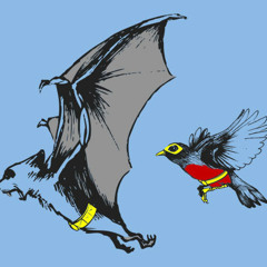 Steezy and Duey - Smoking Session Cypher 1. (Freestyles)