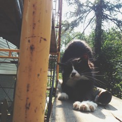 Feeling Fine, Summer Time Mix