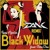 Artwork for Iggy Azalea ft. Rita Ora  - Black Widow (DANK Remix) (Virgin / EMI / Universal)