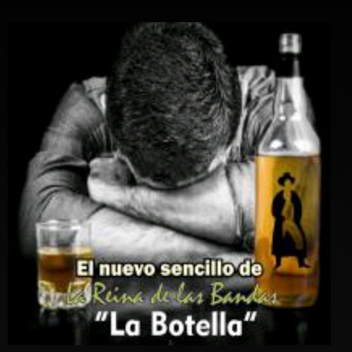 Banda Machos (2014) - La Botella