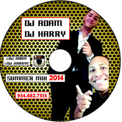 DJ Adam & DJ Harry Present: Summer Mix 2014