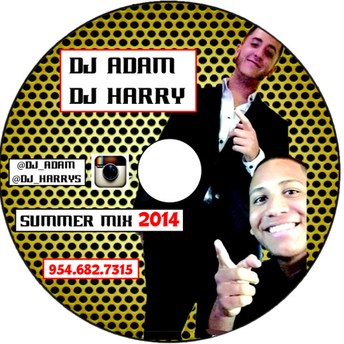 DJ Adam & DJ Harry Present: Summer Mix 2014