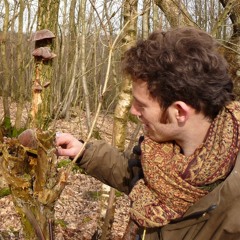 Henry Martin (live in a Welsh field) - Sam Lee