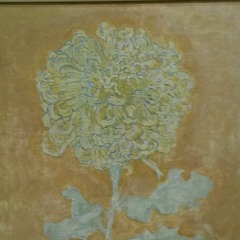 Operator _ dead cover