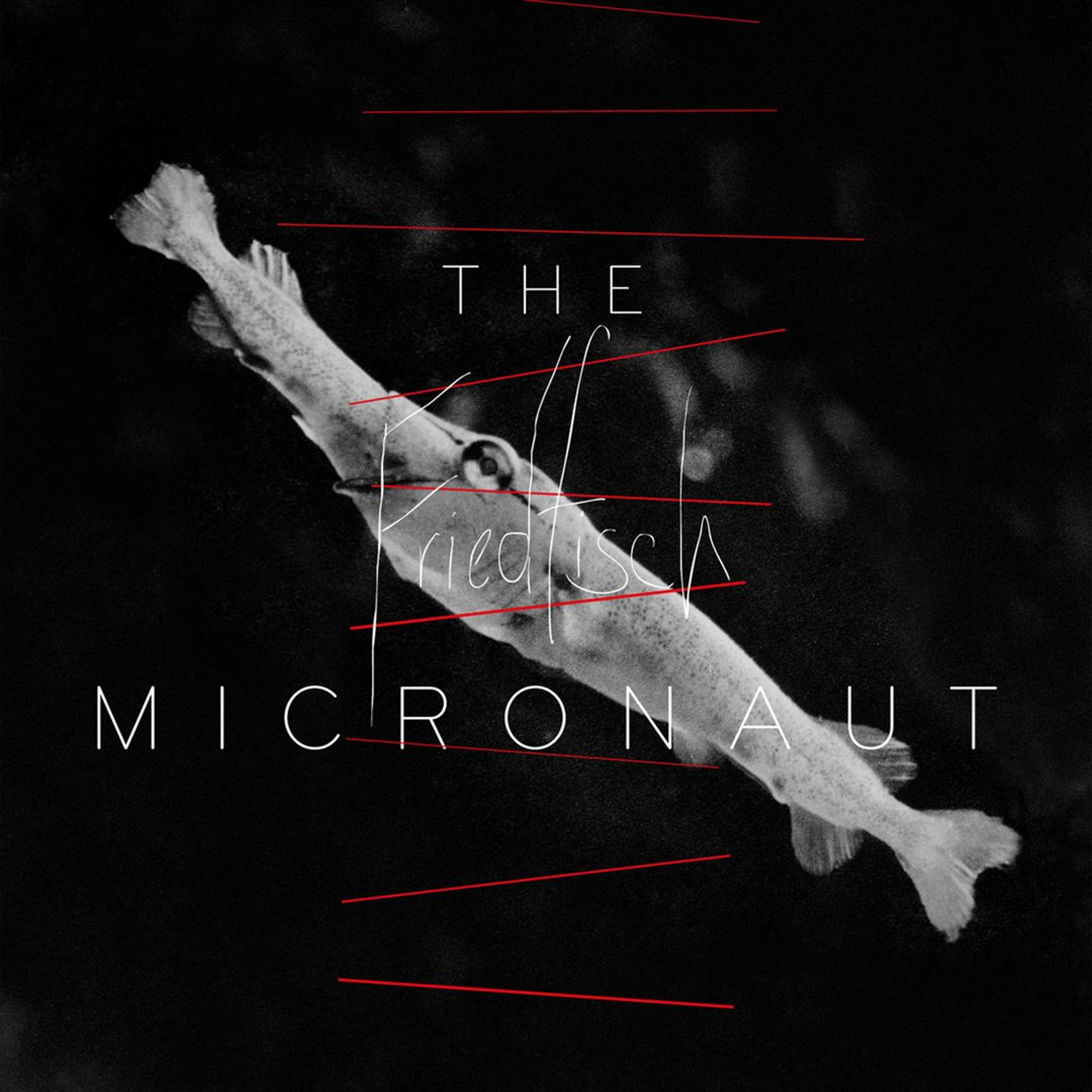 THE MICRONAUT
