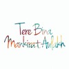 Mankirat Aulakh - Tere Bina
