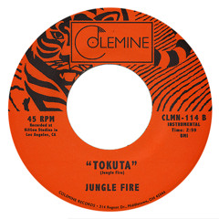 Jungle Fire - Tokuta (afro-latin-funk)