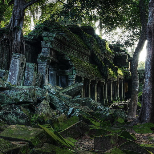 [Image: artworks-000087611573-4kjmif-t500x500.jpg?e76cf77]