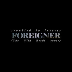 Foreigner (The Wild Reeds cover)