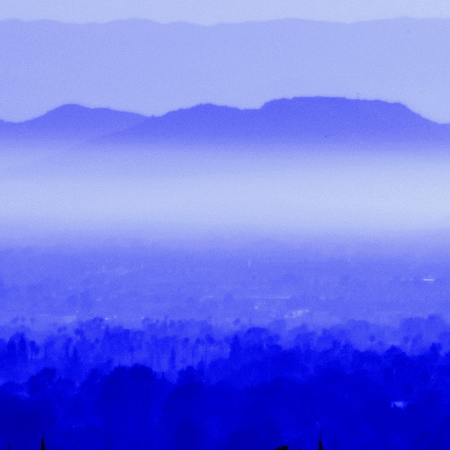 Wandering (Fro's Dilemma)HD - Jeff Singh Triage (C.T.U)