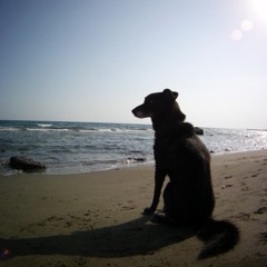 PUSH PLAY  Summer Mix (August 2014)