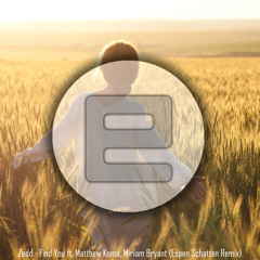 Zedd - Find You ft. Matthew Koma, Miriam Bryant(Espen Schatten Summervibe Remix)