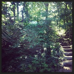 The Hunter and The Prey