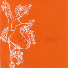 The Sun (Tigers Jaw Cover)