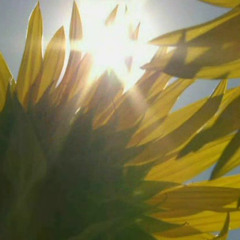 What a Beutiful Day - Mix 1 Demo - Rizon Live, Celestial Serpent, Systematical -