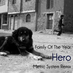 Family Of The Year - Hero (Metric System Remix)