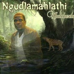 Ngudlamahlathi - Zawala