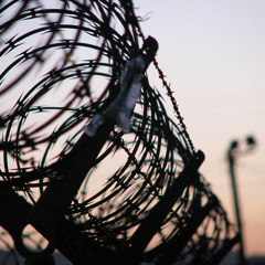 U.S. Immigration & Migration